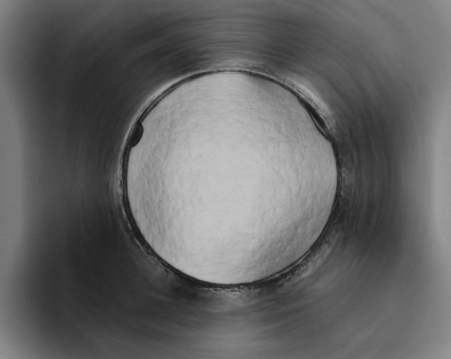 X0000094910948200712271510