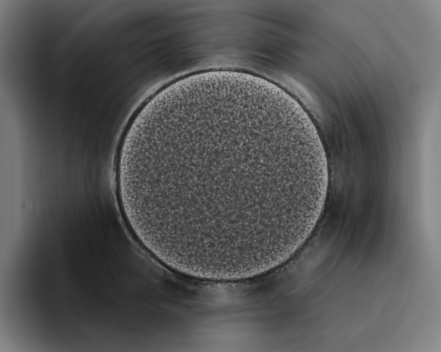 X0000094910950200712271510