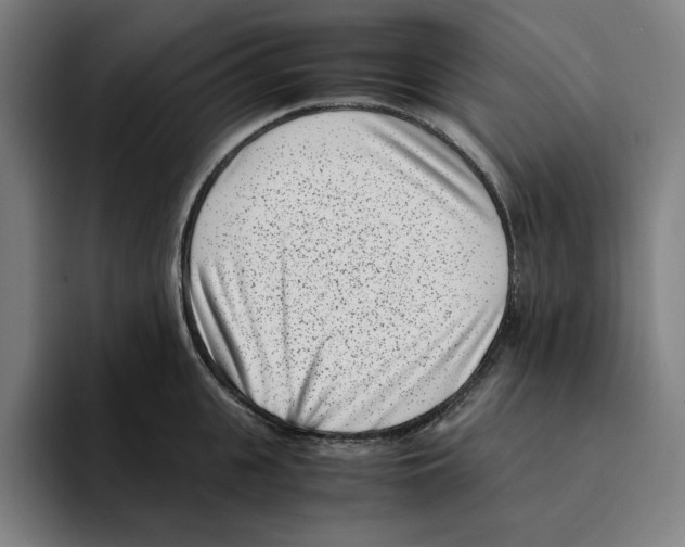 X0000094910951200712271510