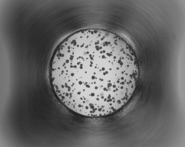 X0000094910952200712271510