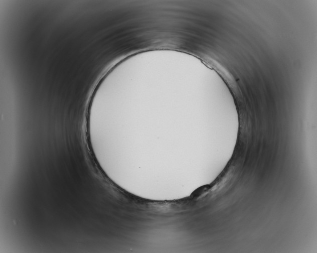 X0000094910956200712271510