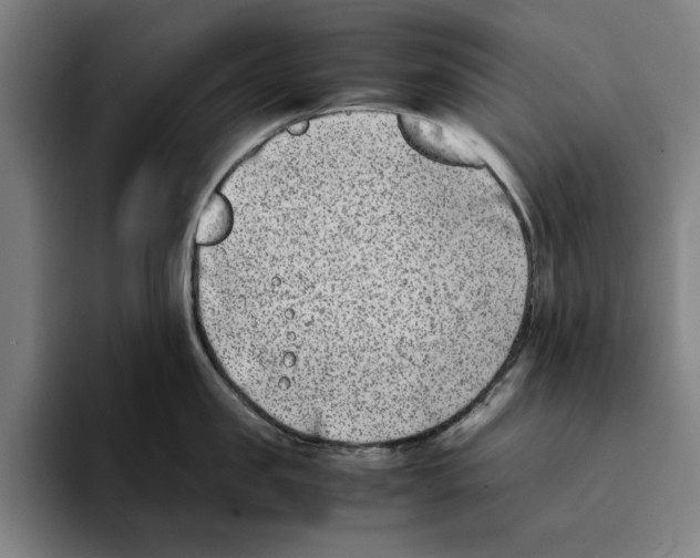 X0000094910957200712271510