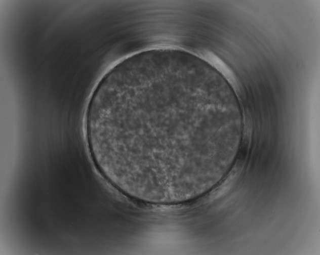 X0000094910958200712271510