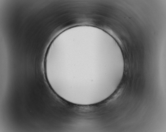 X0000094910959200712271510