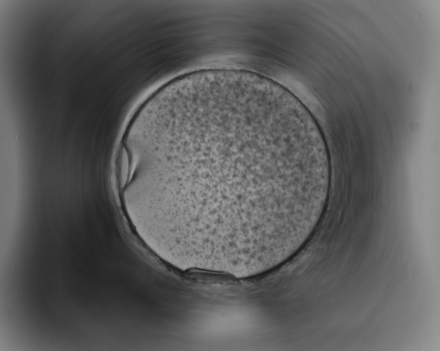 X0000094910960200712271510