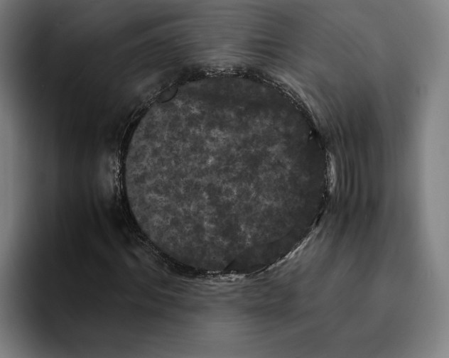 X0000094910964200712271509