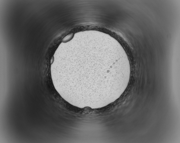 X0000094910967200712271509