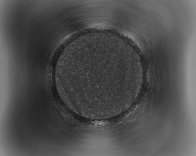 X0000094910968200712271509