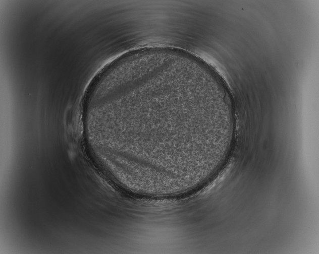 X0000094910973200712271509