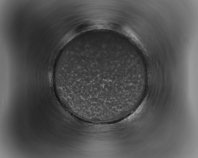 X0000094910977200712271509