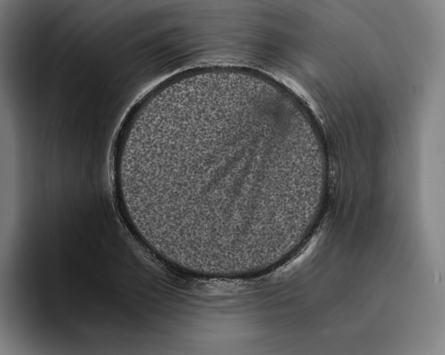 X0000094910981200712271509