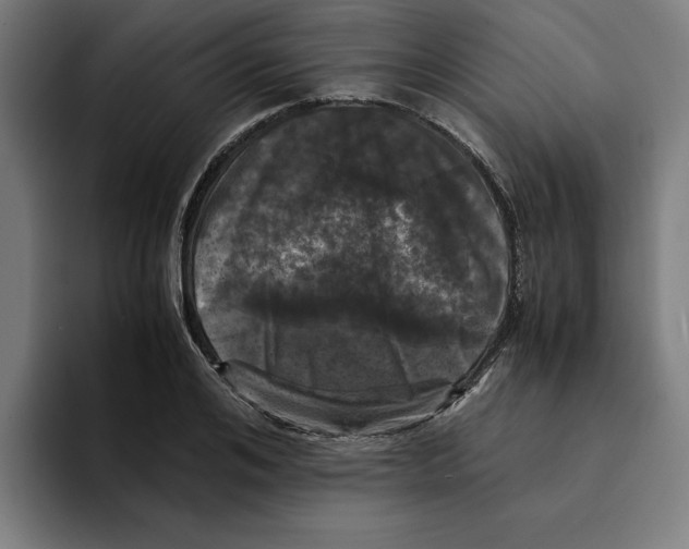 X0000094910984200712271509