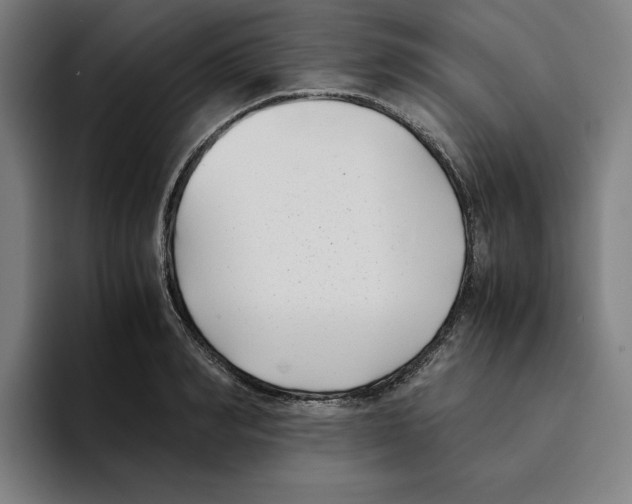 X0000094910990200712271509