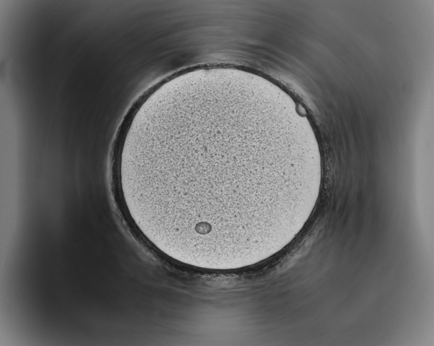 X0000094910991200712271509