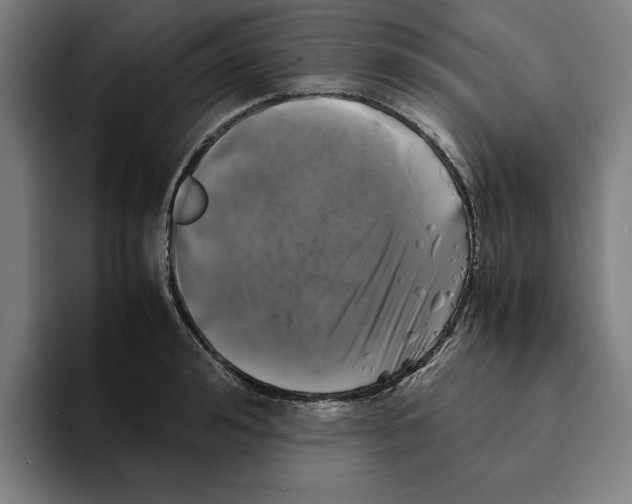 X0000094910992200712271509