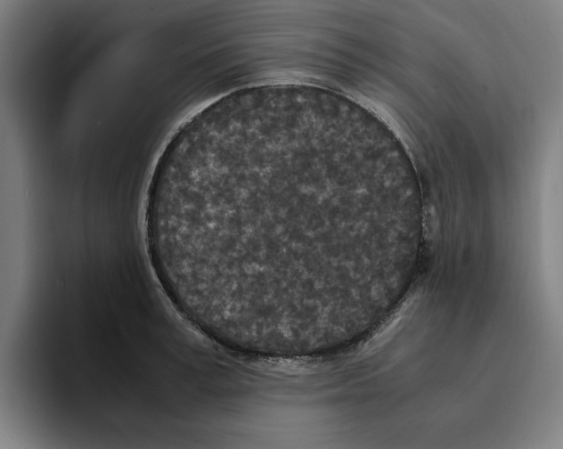 X0000094910995200712271509