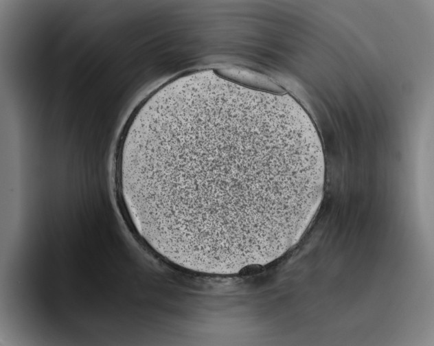 X0000094911003200712271509