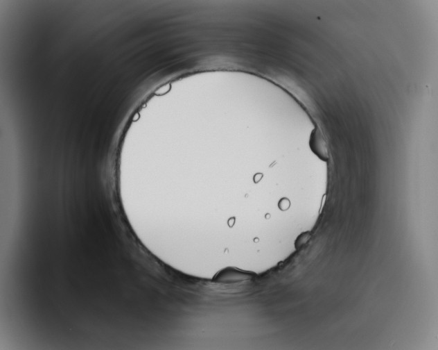 X0000094911008200712271508