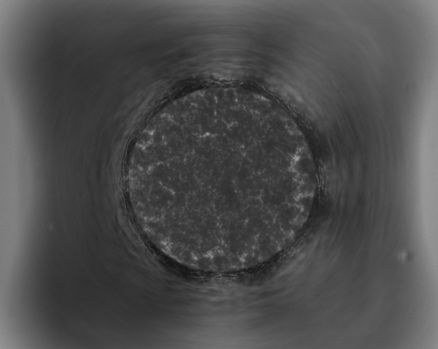 X0000094911009200712271508