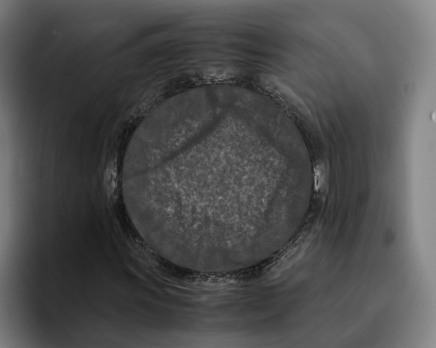 X0000094911011200712271508