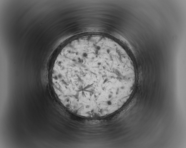 X0000094911019200712271508