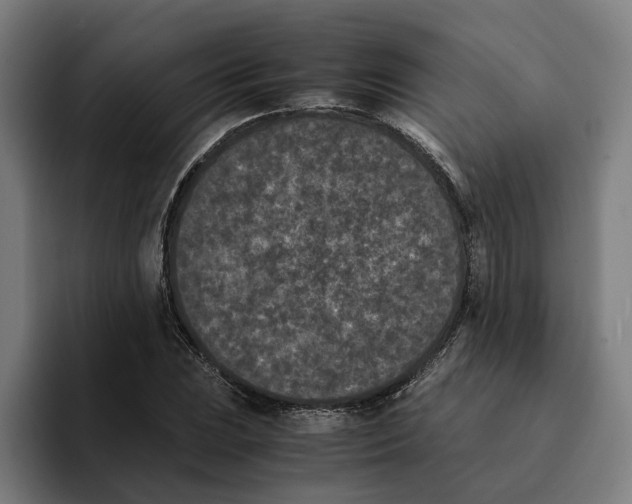 X0000094911023200712271508