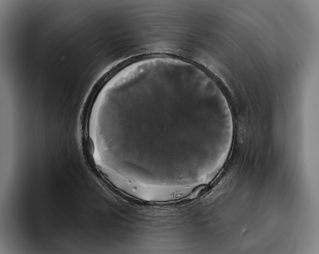 X0000094911024200712271508