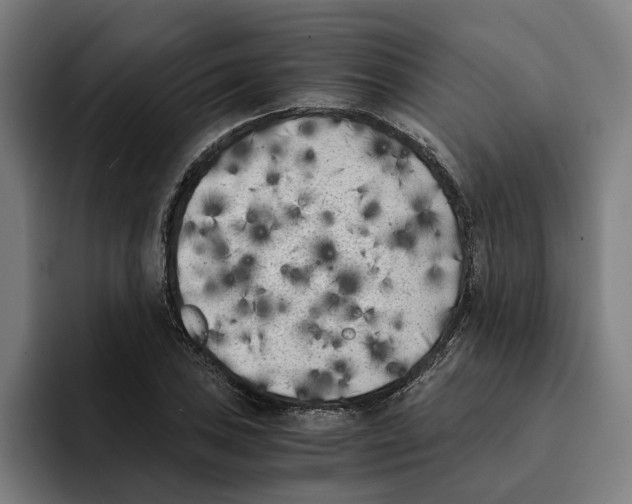 X0000094911027200712271508