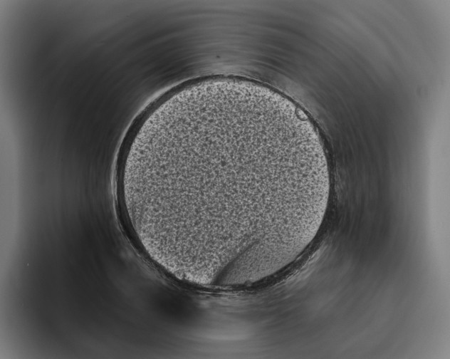 X0000094911028200712271508