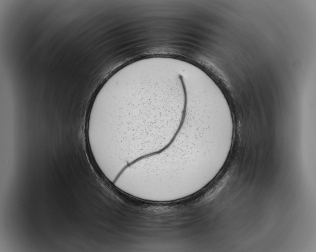 X0000094911033200712271508