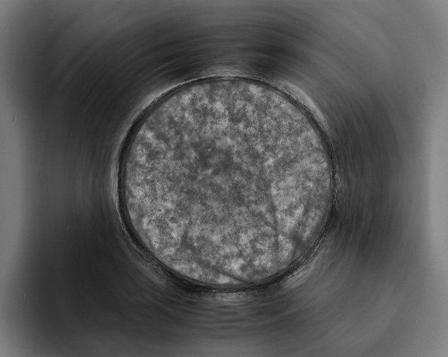 X0000094911035200712271508