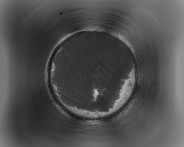 X0000094911037200712271508