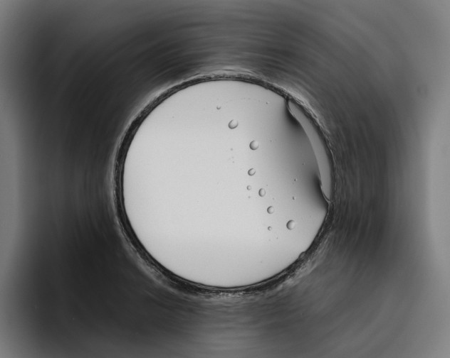 X0000094911038200712271508