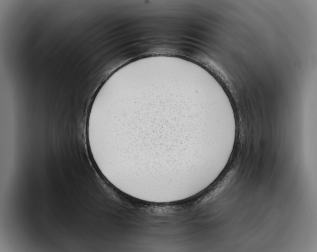 X0000094911041200712271508