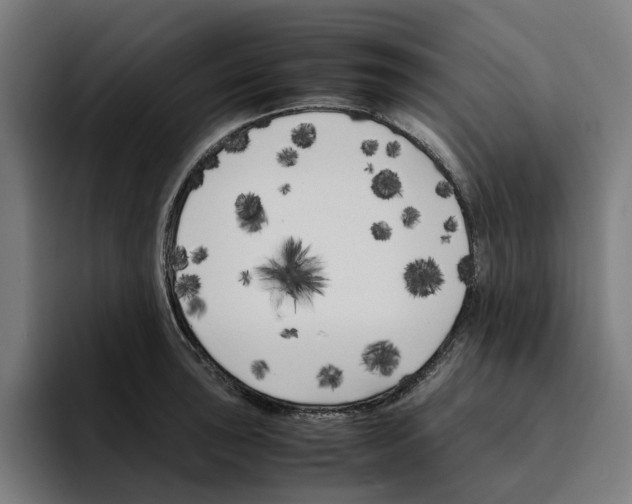 X0000094911043200712271508