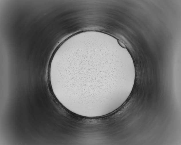 X0000094911044200712271508