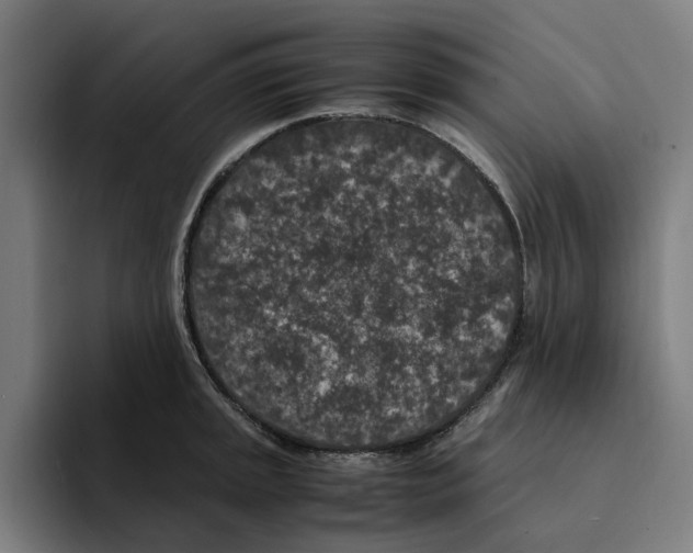 X0000094911045200712271508