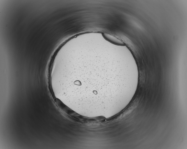 X0000094911046200712271508