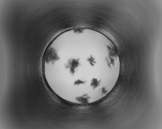 X0000094911047200712271508