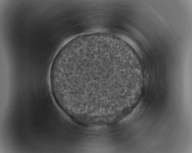 X0000094911055200712271508