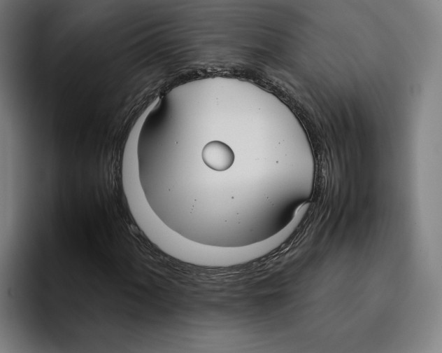 X0000094911060200712271508