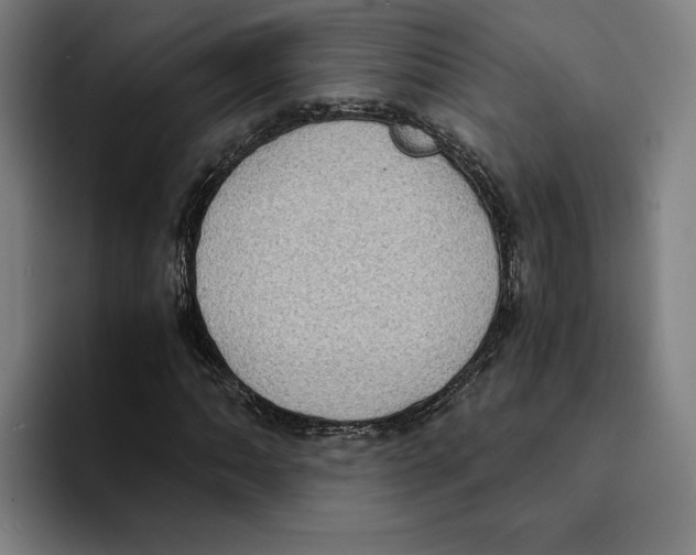 X0000094911062200712271508