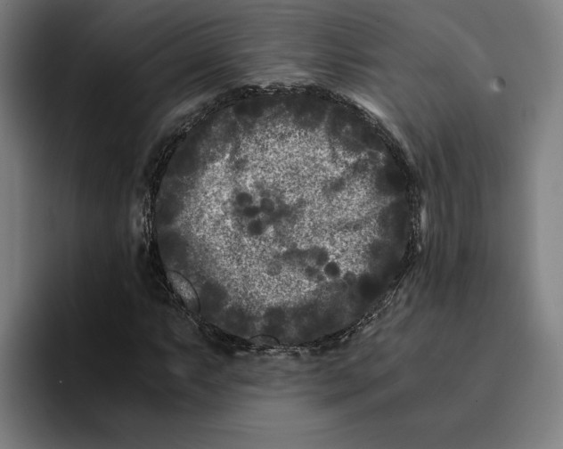 X0000094911063200712271508