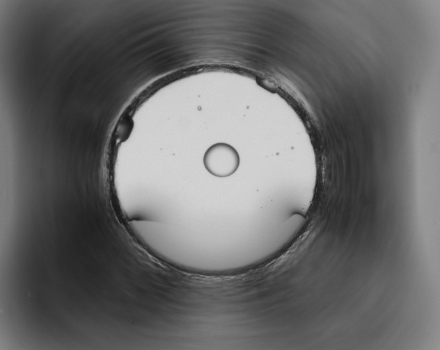 X0000094911068200712271508