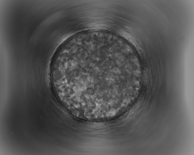 X0000094911071200712271508