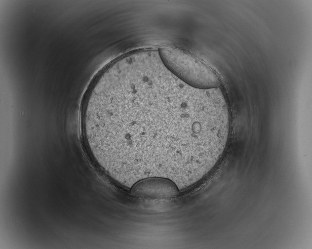 X0000094911079200712271508