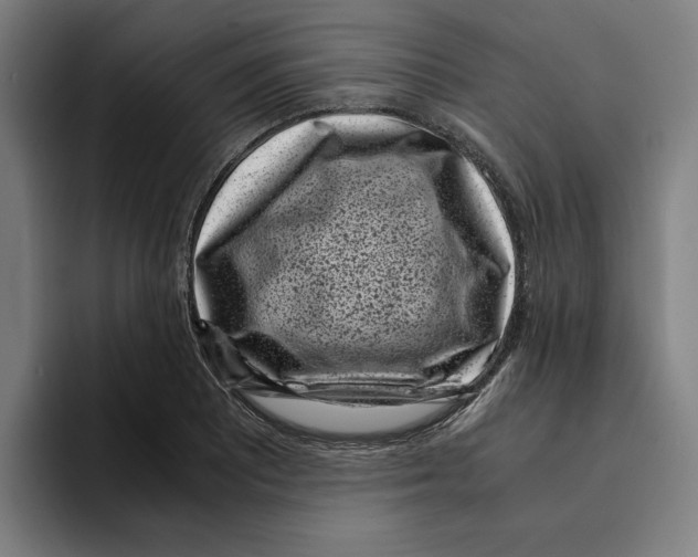 X0000094911081200712271507