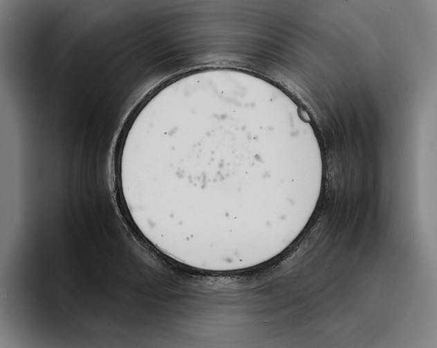 X0000094911082200712271507