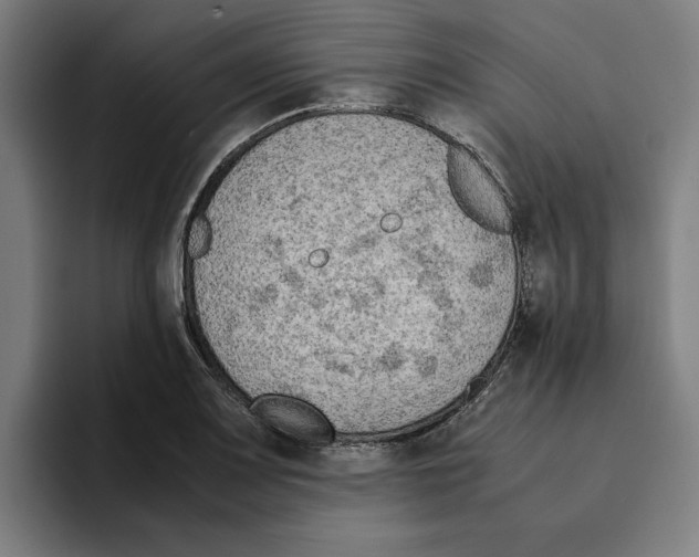 X0000094911083200712271507