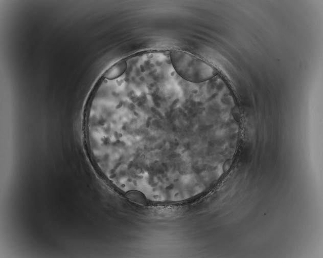 X0000094911087200712271507